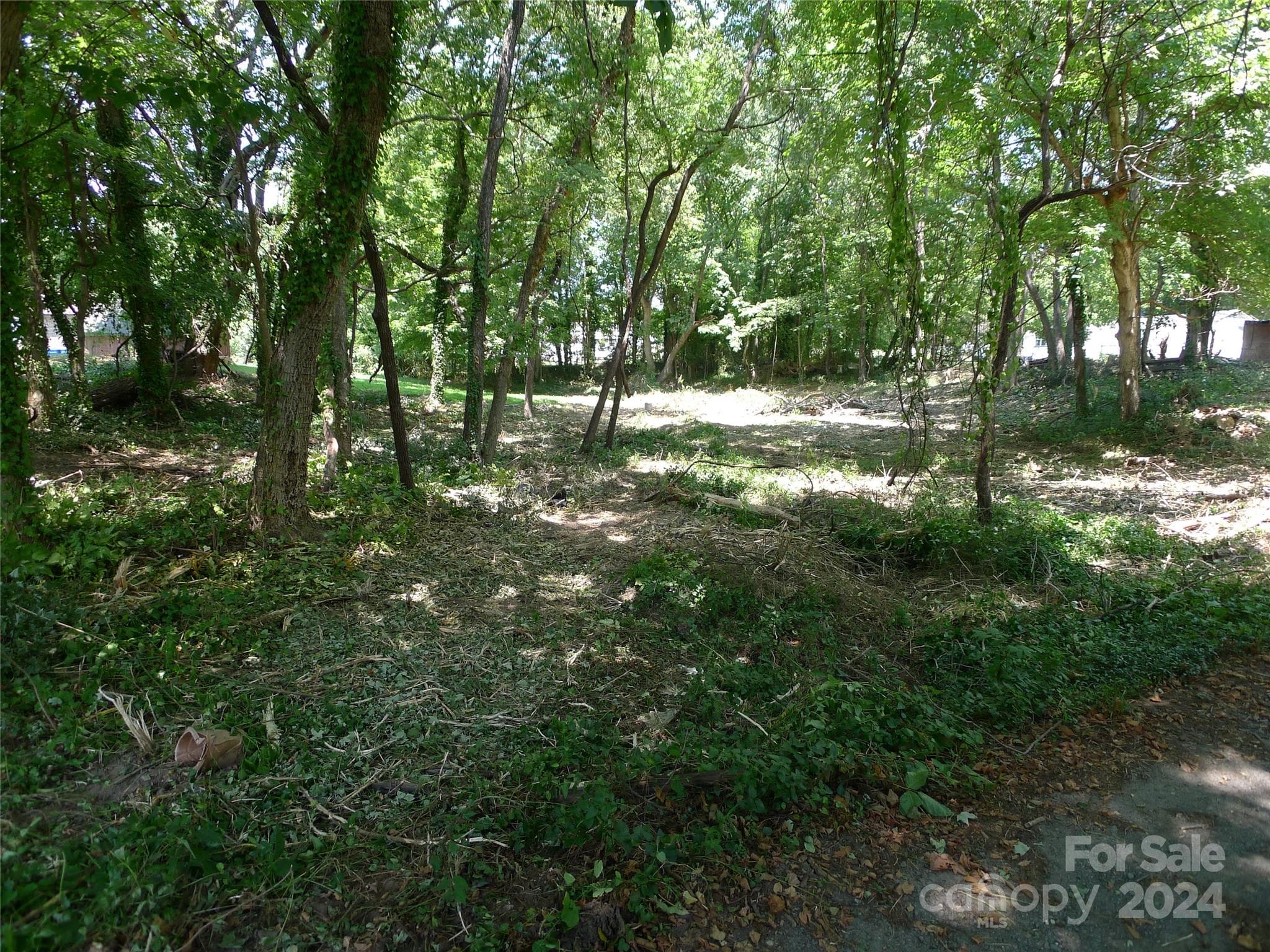 Lot at 351 Honeysuckle Street, Mocksville, photo 3 of 8