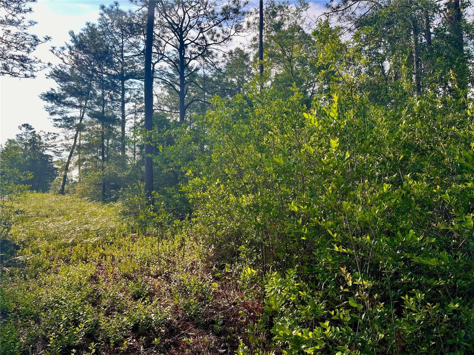 Land at PINETREE LN, DEFUNIAK SPRINGS, photo 9 of 40