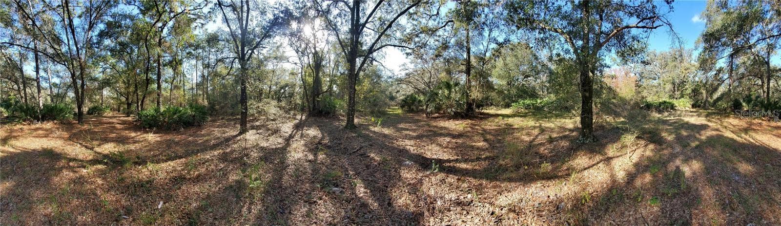 Land at 8738 LINDY LN, NEW PORT RICHEY, photo 3 of 12