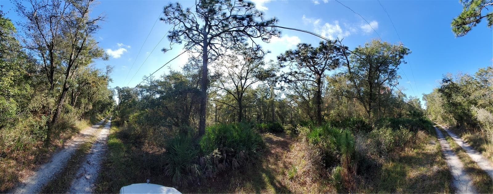 Land at 8738 LINDY LN, NEW PORT RICHEY, photo 4 of 12