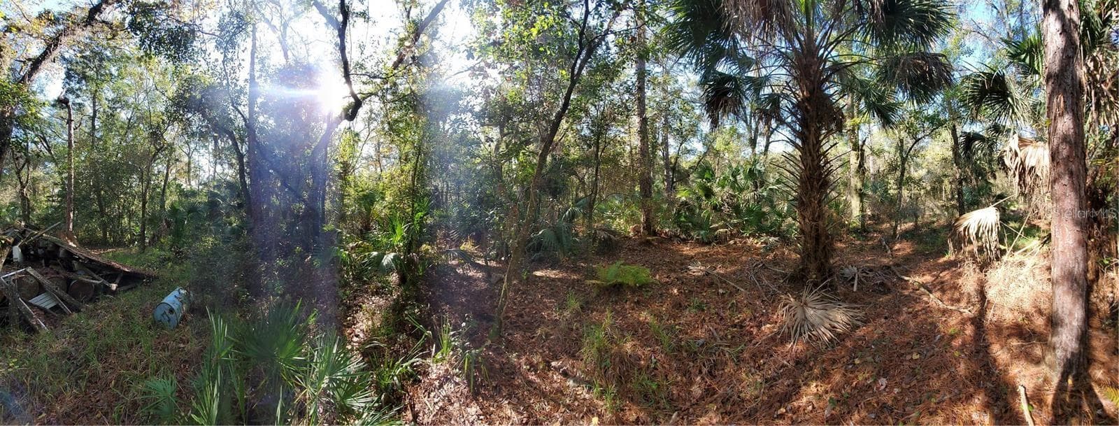 Land at 8738 LINDY LN, NEW PORT RICHEY, photo 5 of 12