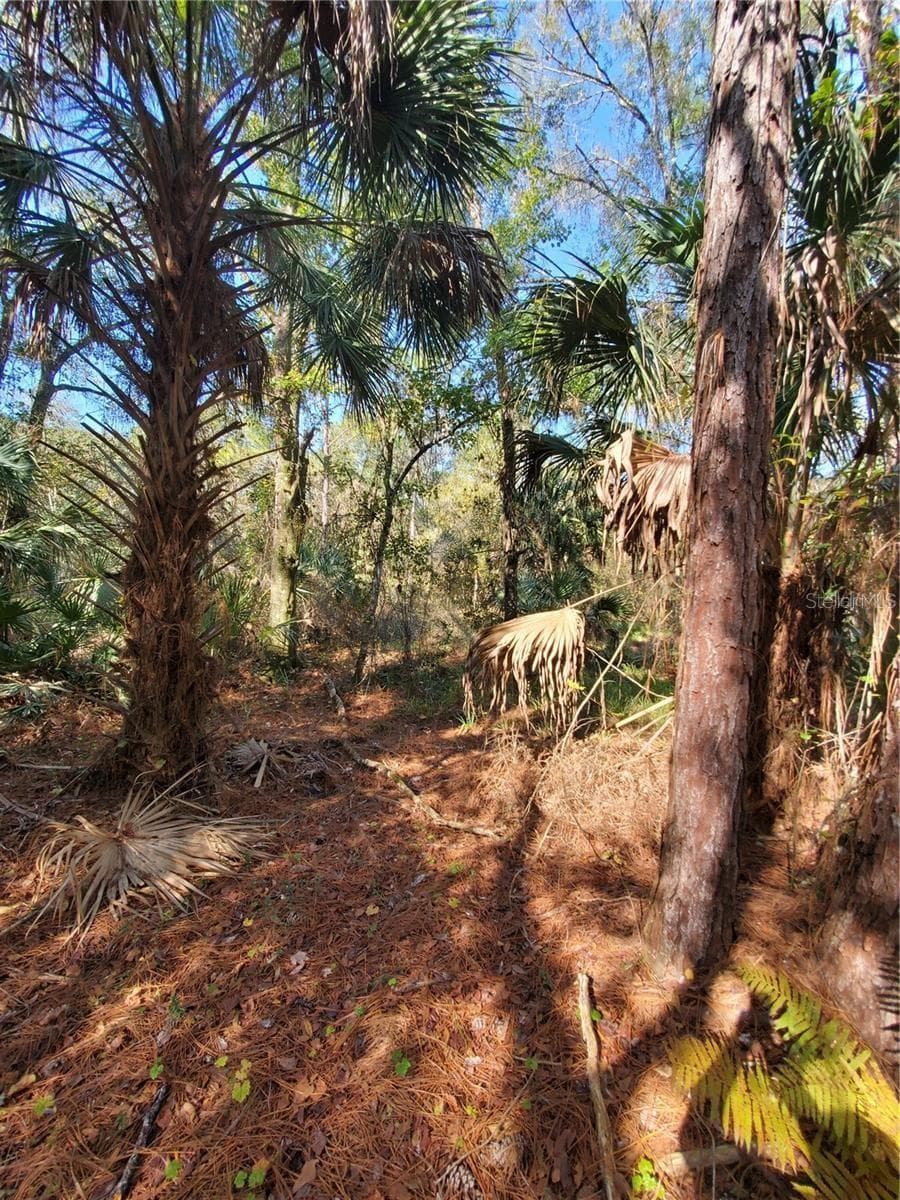 Land at 8738 LINDY LN, NEW PORT RICHEY, photo 7 of 12