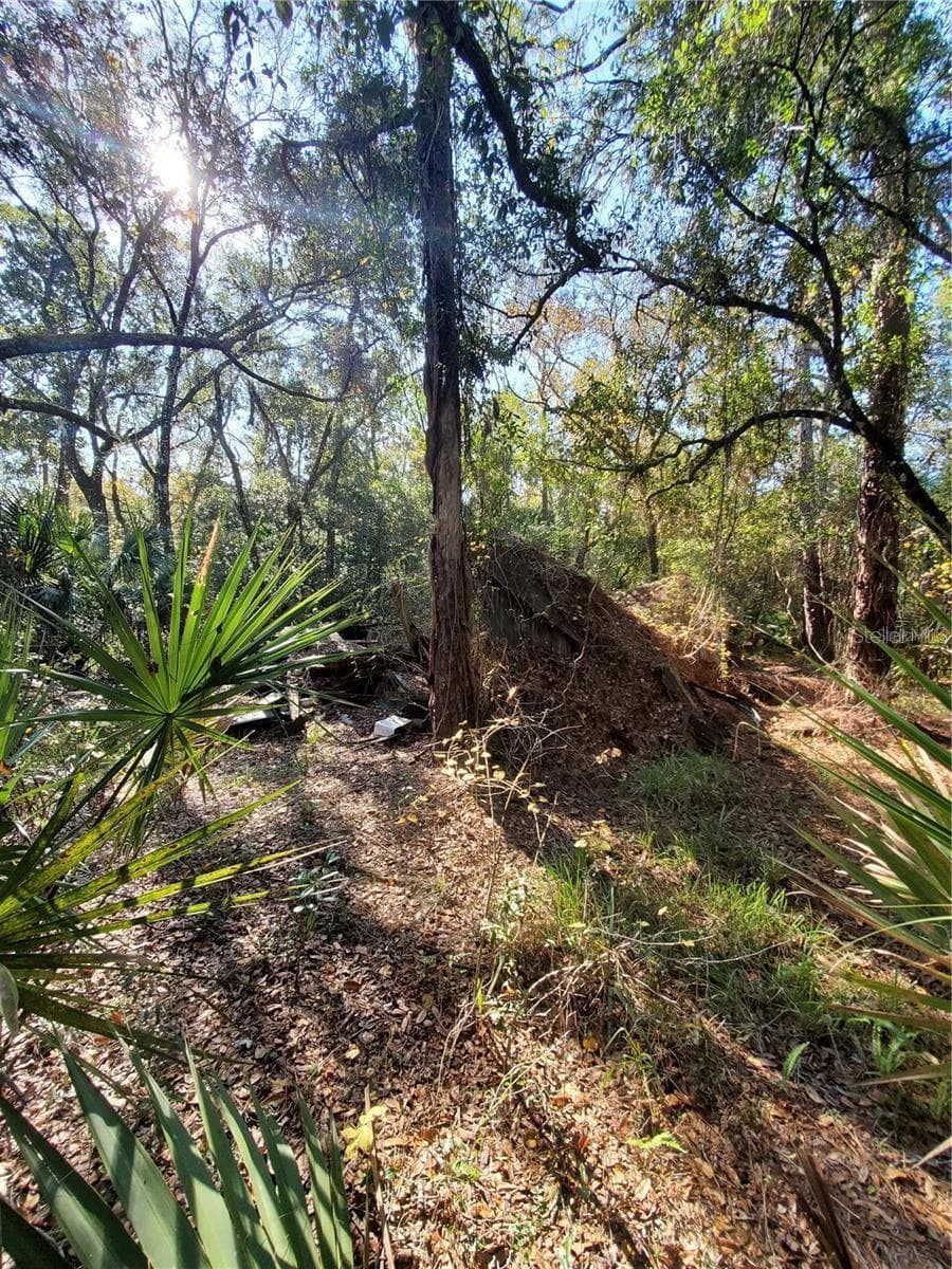 Land at 8738 LINDY LN, NEW PORT RICHEY, photo 11 of 12