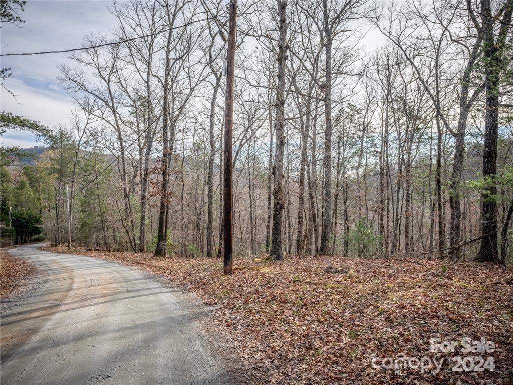 Lot at Lake Lure, photo 2 of 16