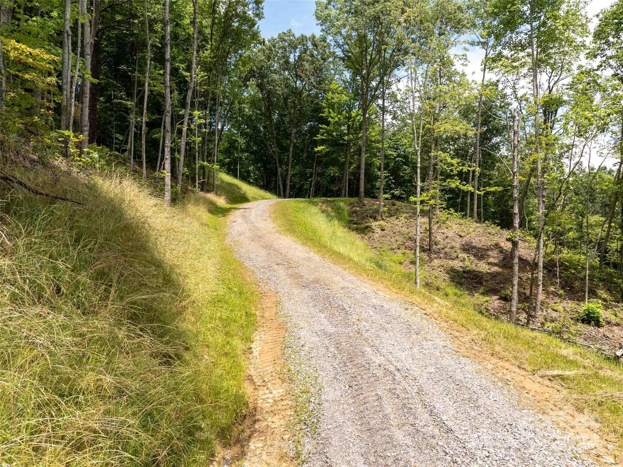 Lot at Waynesville, photo 2 of 27