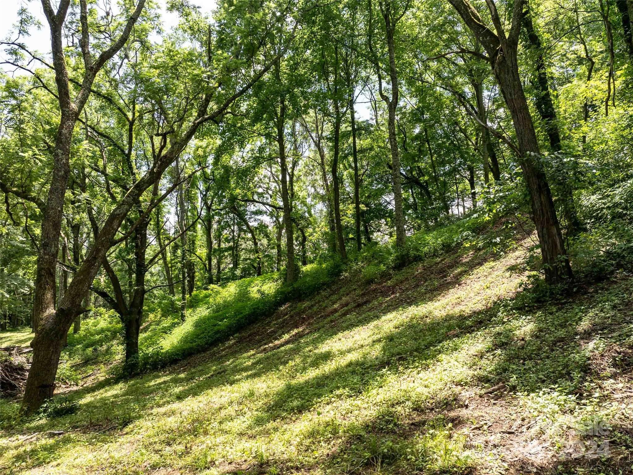 Acreage at Waynesville, photo 2 of 42