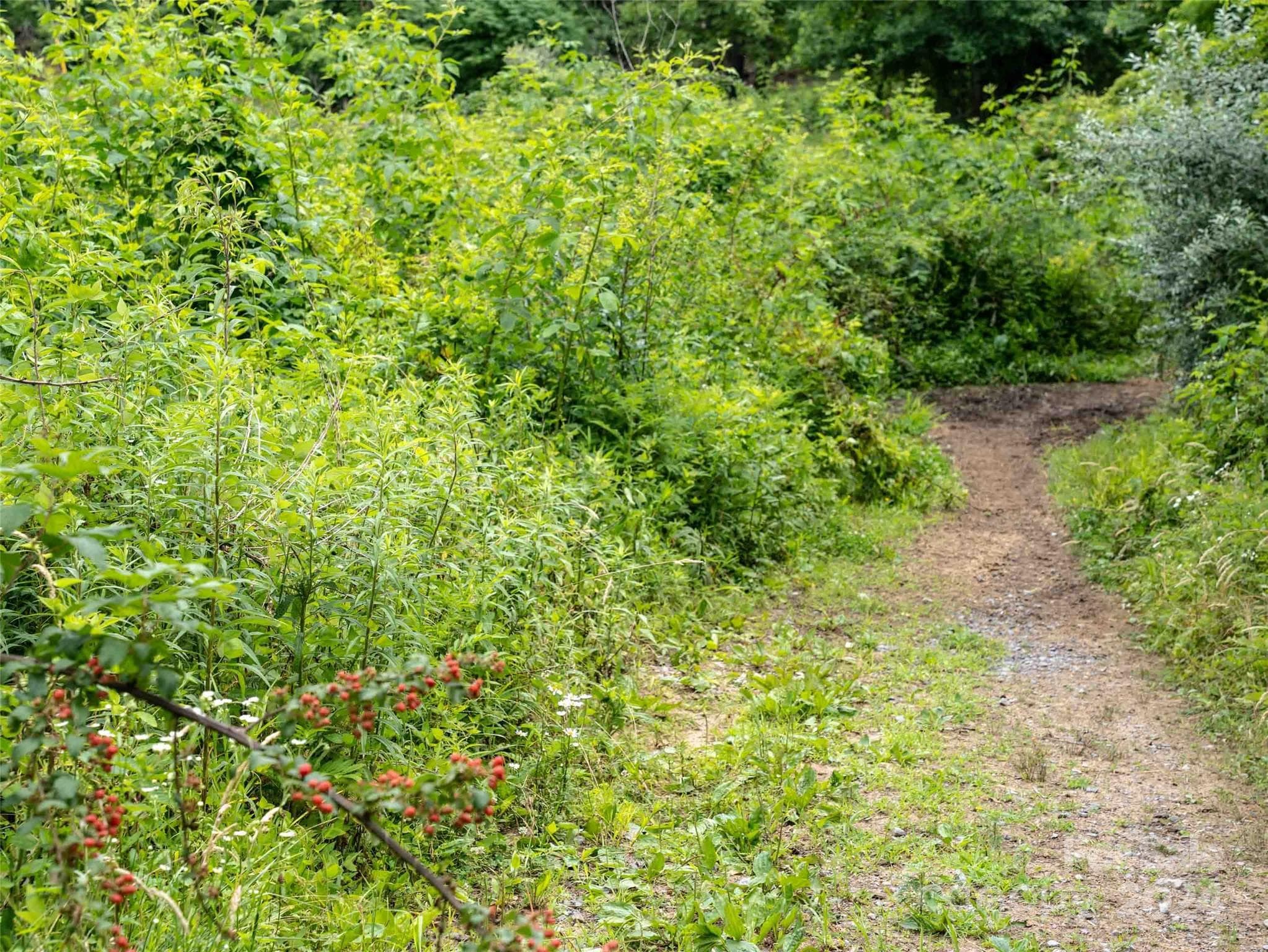 Acreage at 00 Waterwheel Cove, Clyde, photo 9 of 22