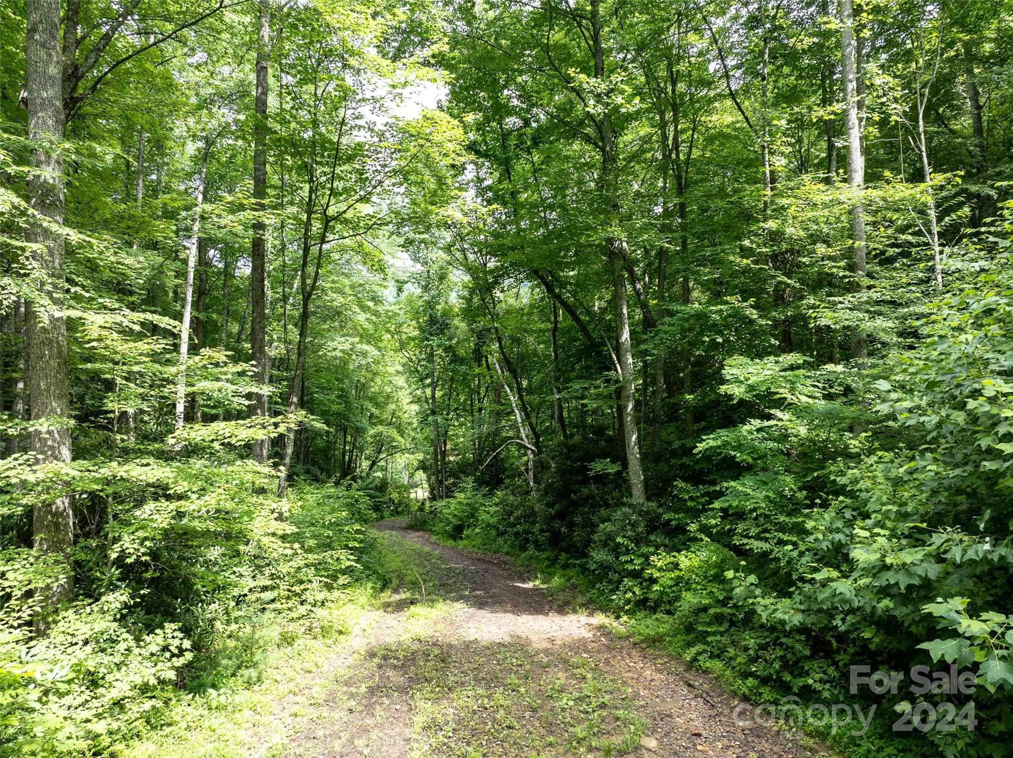Acreage at 00 Waterwheel Cove, Clyde, photo 16 of 22