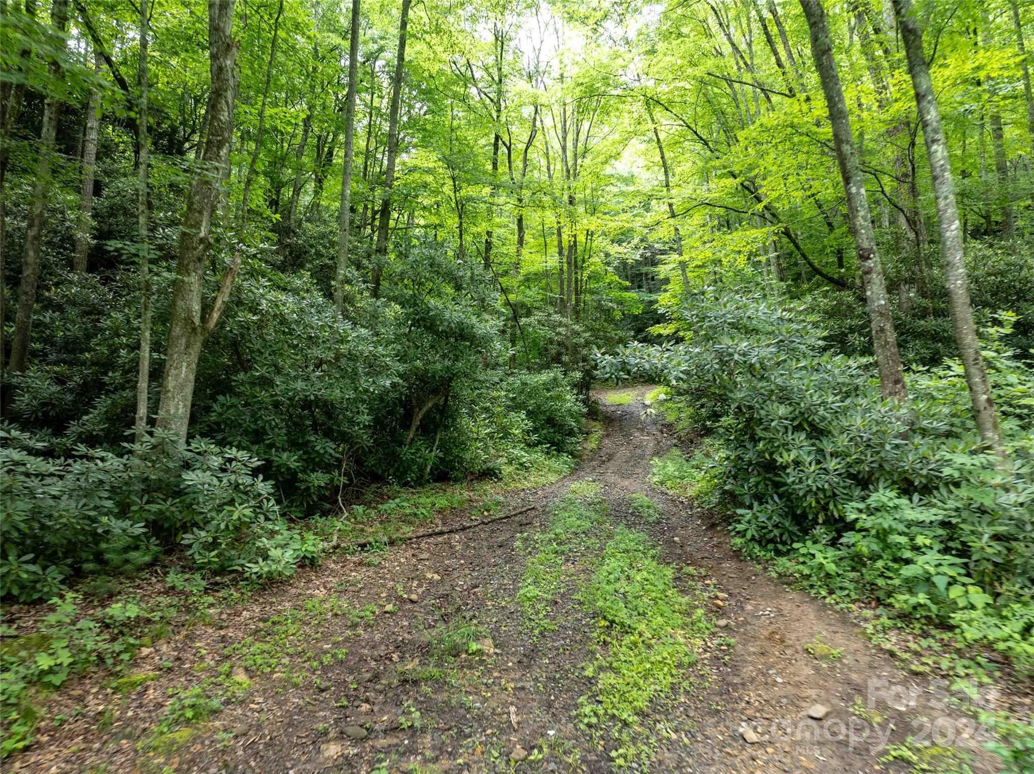 Acreage at 00 Waterwheel Cove, Clyde, photo 19 of 22