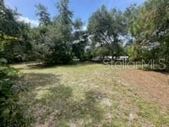 3910 DUNN DR