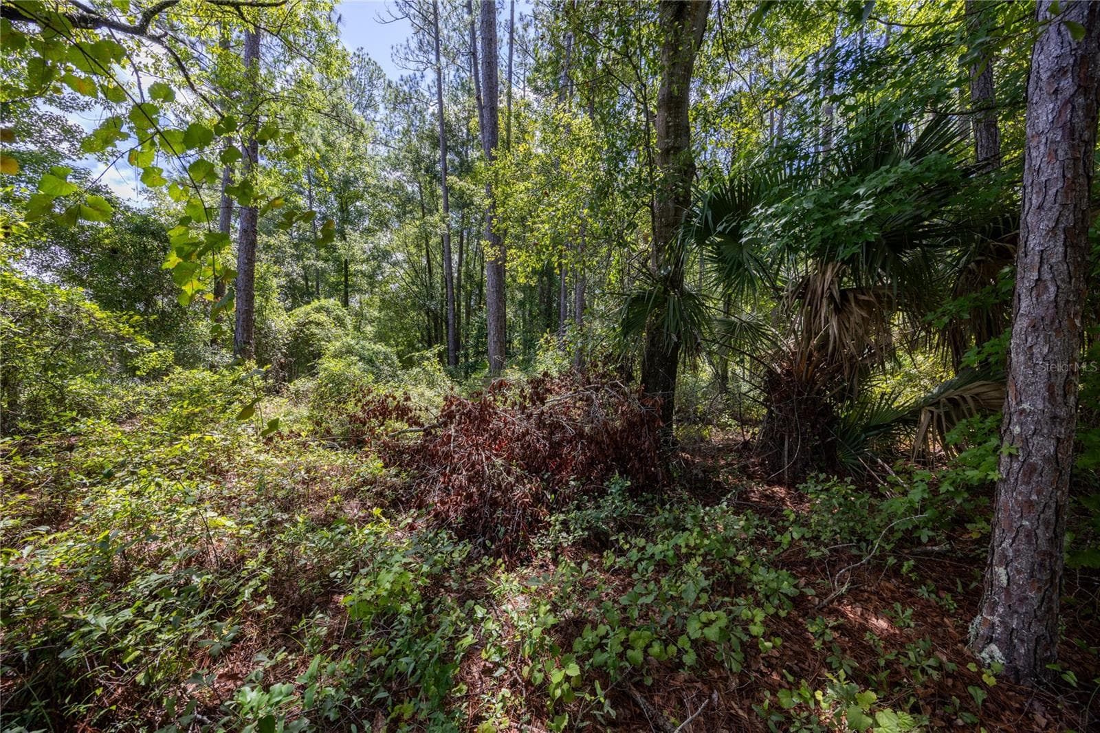 Land at 0 SE HAWTHORNE RD, HAWTHORNE, photo 2 of 23