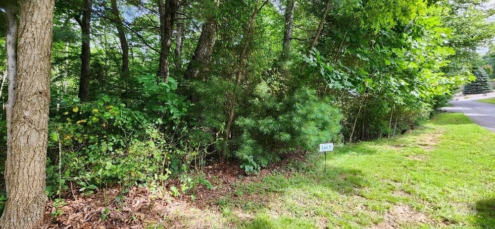 00000 Barebridge Drive