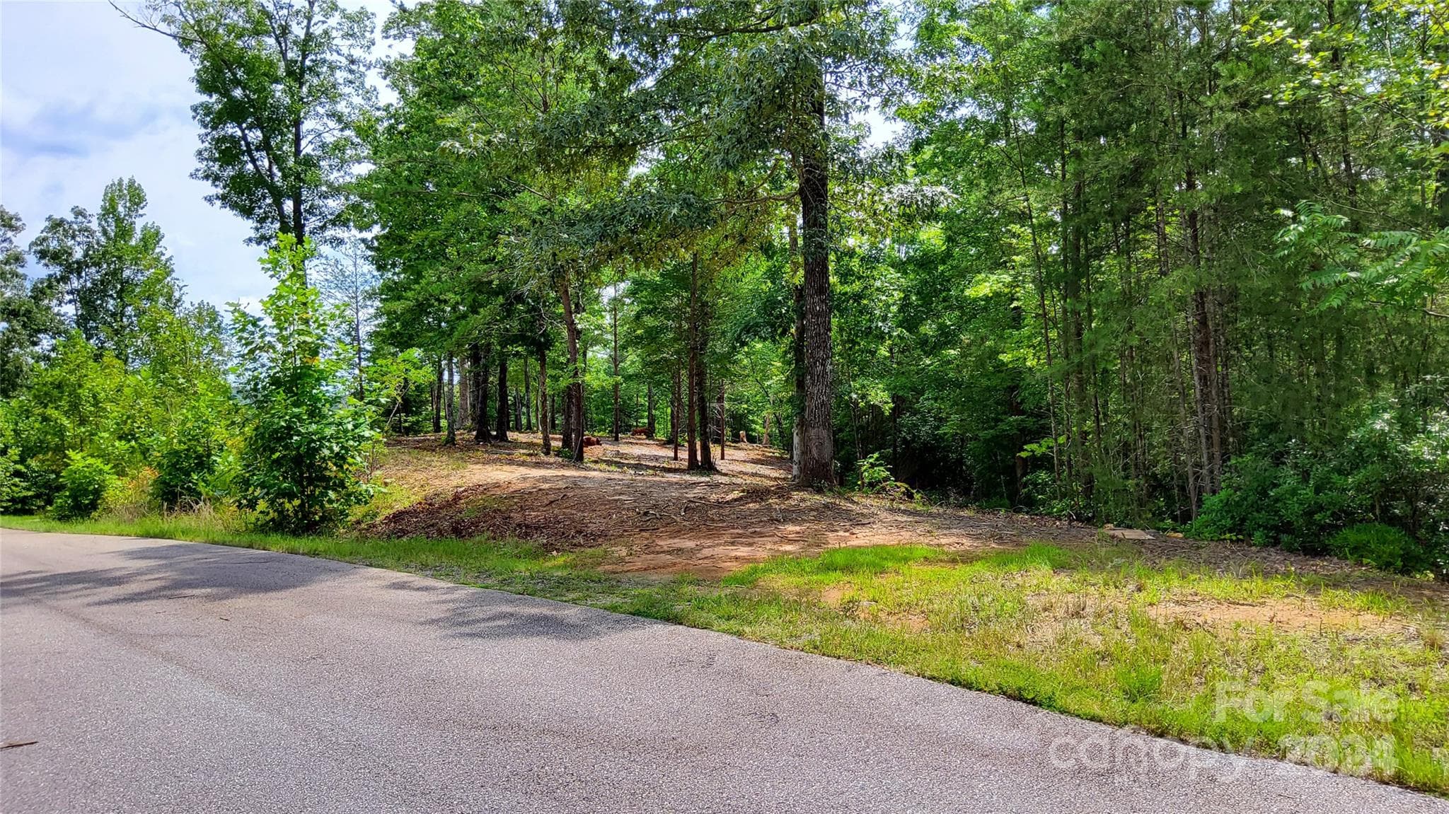 Lot 21 Level to Street for easy Driveway Entrance!! - 00 Wambli Pass, Lake Lure