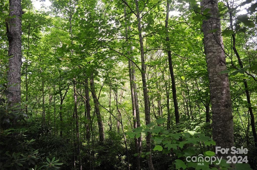 This beautiful building lot has a winter ridgeline view. - Black Mountain