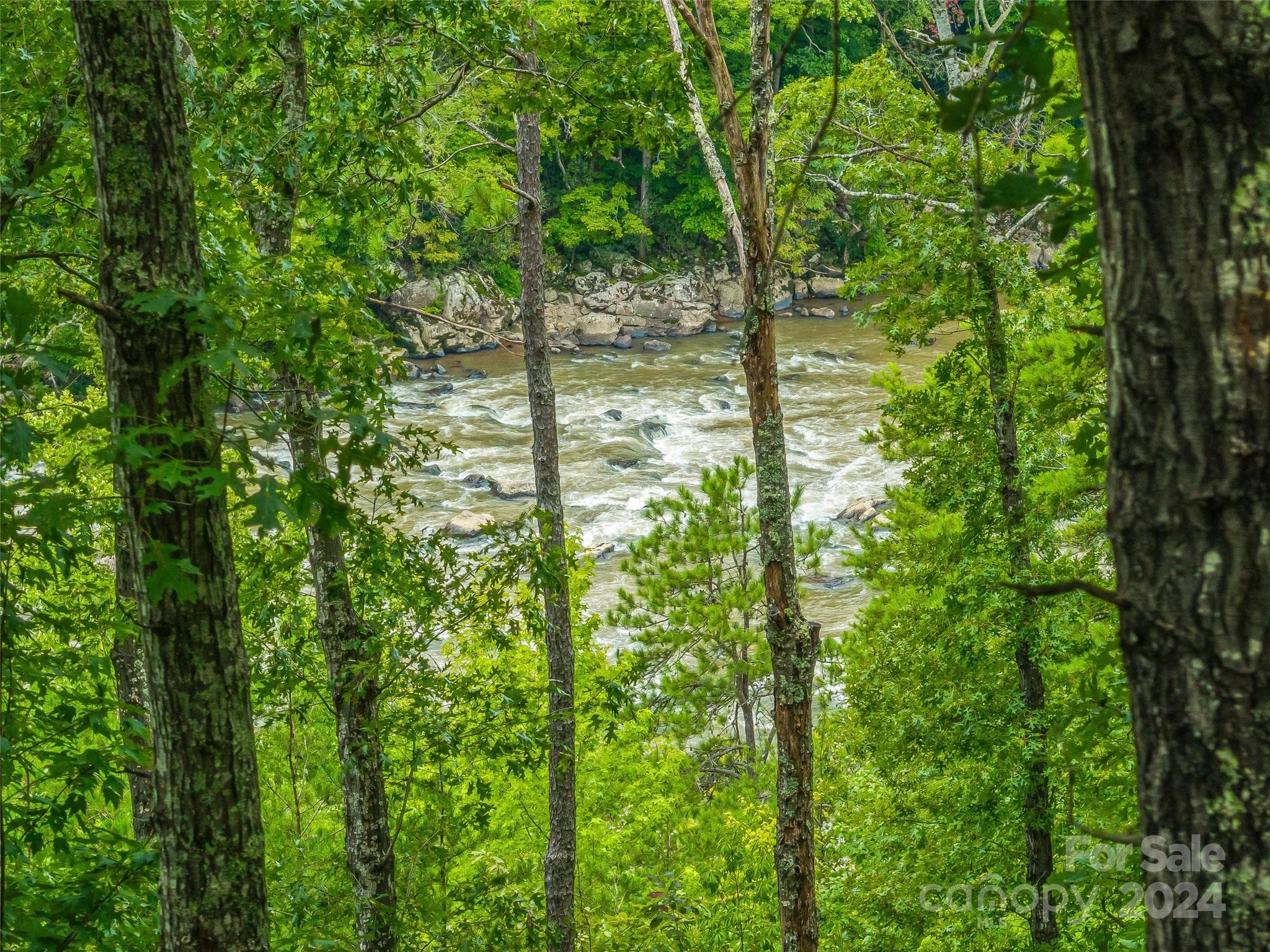 Your View from the lot to the French Broad - 4155 French Broad Parkway, Marshall