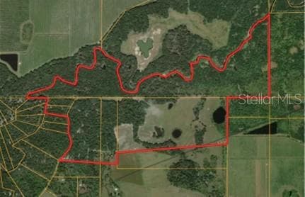 370 Acre Commercial Hunting, 2 miles on Charlie Creek - 7019 CROOKED CREEK LN, ZOLFO SPRINGS