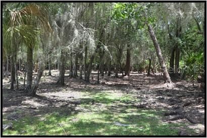 Hunting Stand - 7019 CROOKED CREEK LN, ZOLFO SPRINGS