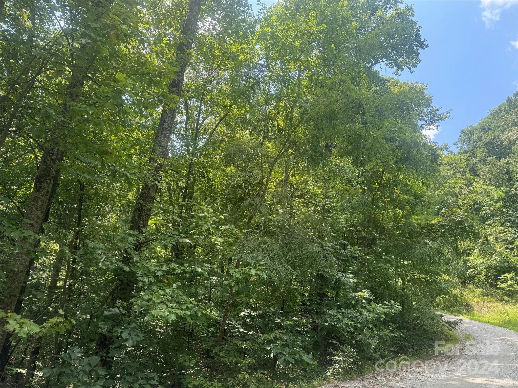 Road Frontage - Lake Lure