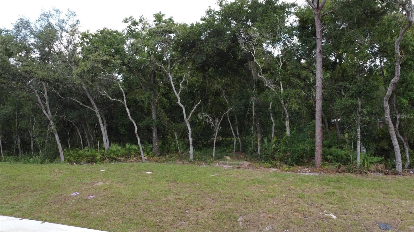 Land at BAYWOOD ST, ALTAMONTE SPRINGS, photo 5 of 7