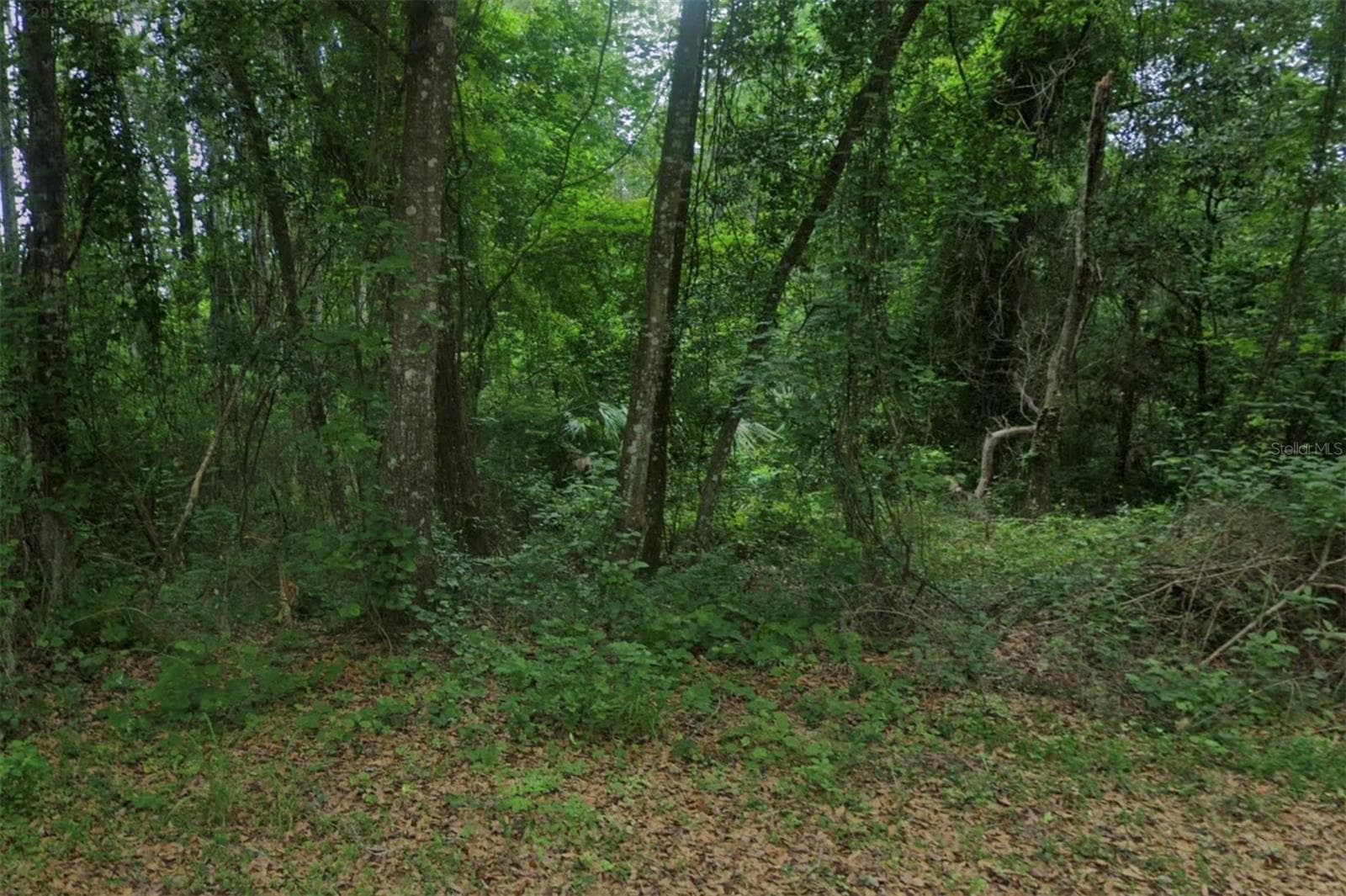 Land at 102 RIDGELINE AVE, SATSUMA, photo 3 of 5