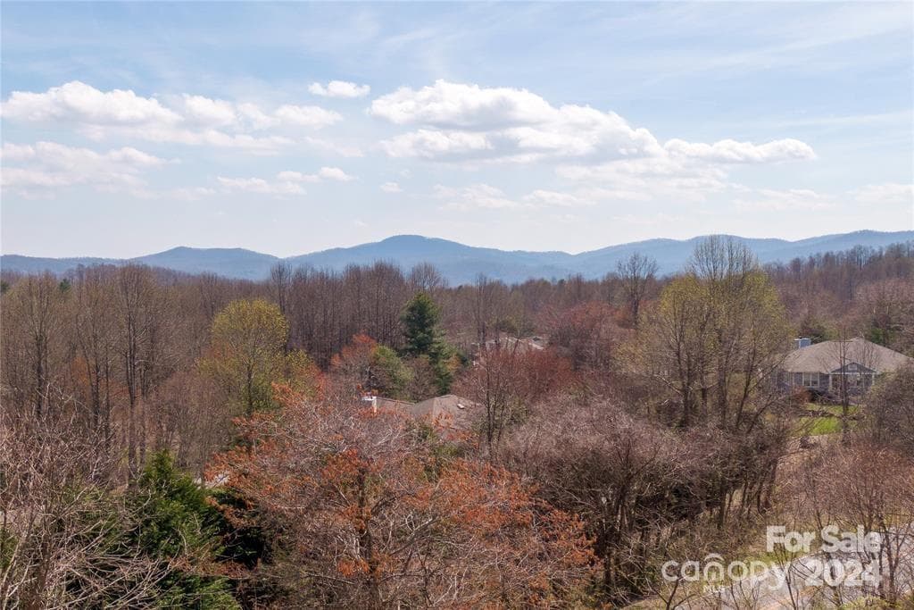 Lot at 000 BERRY CREEK Drive, Flat Rock, photo 3 of 10