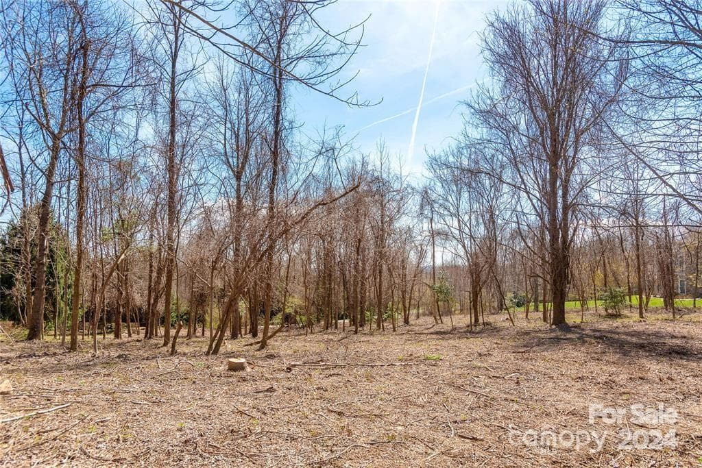 Lot at 000 BERRY CREEK Drive, Flat Rock, photo 4 of 10