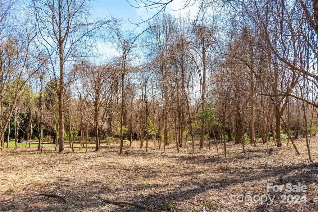 Lot at 000 BERRY CREEK Drive, Flat Rock, photo 6 of 10