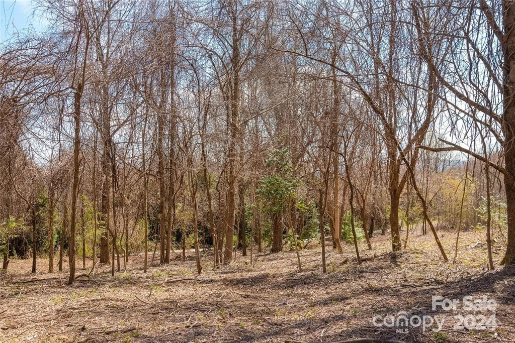 Lot at 000 BERRY CREEK Drive, Flat Rock, photo 8 of 10