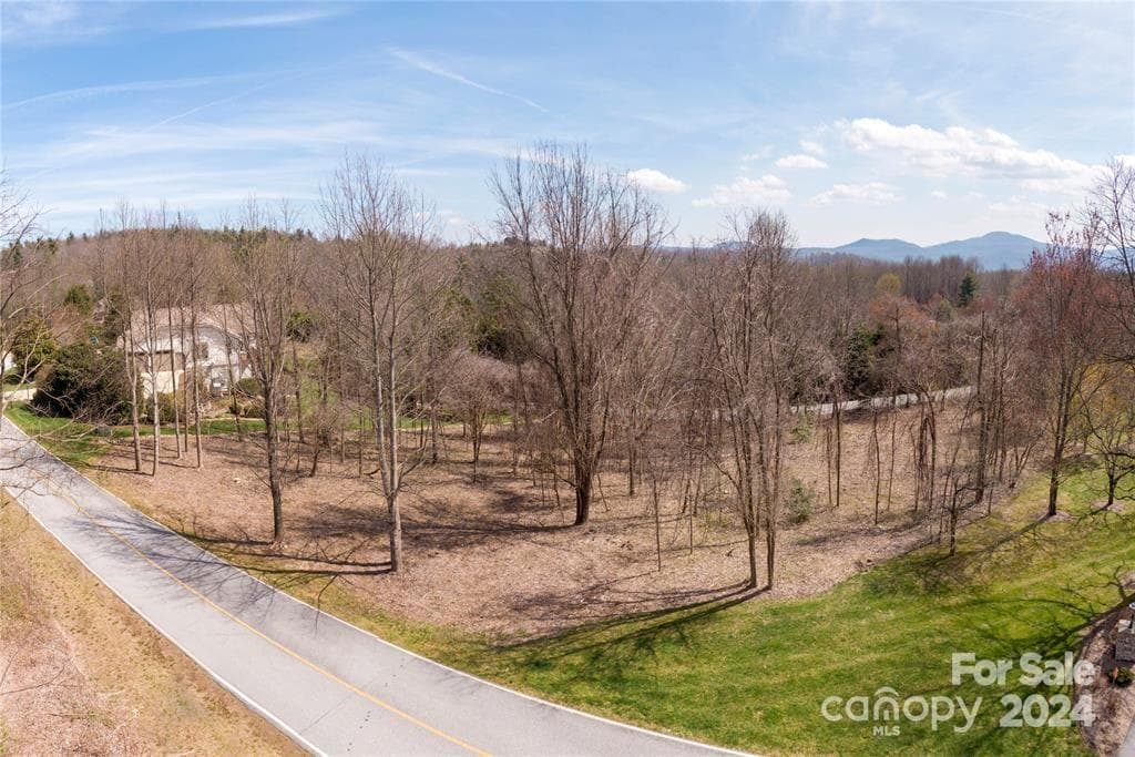 Lot at 000 BERRY CREEK Drive, Flat Rock, photo 10 of 10