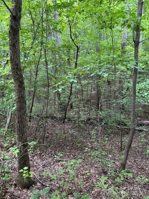 Acreage at 00 Timber Road, Iron Station, photo 2 of 3