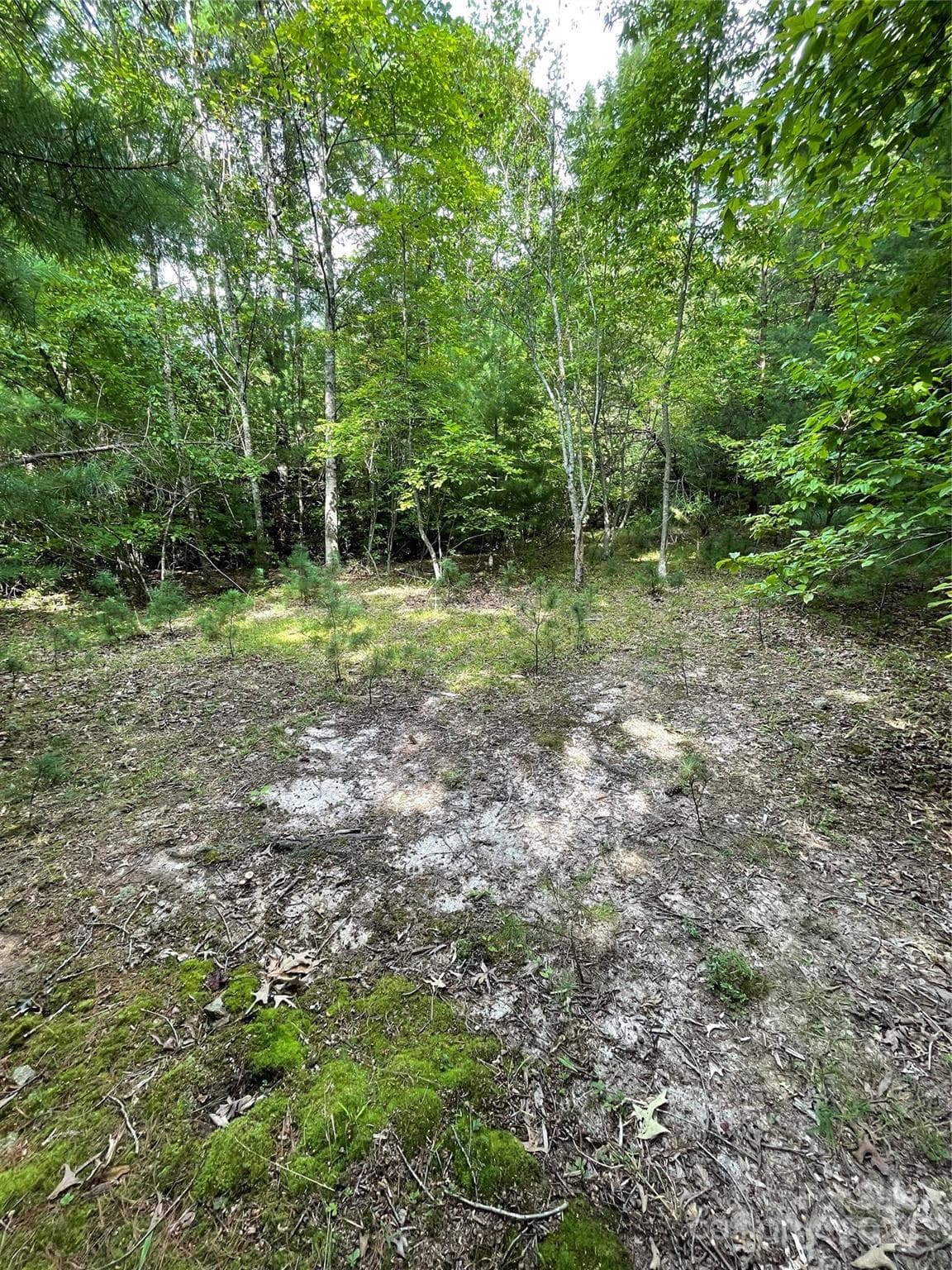 Lot 25 - #25 Oleta Mill Trail, Dana