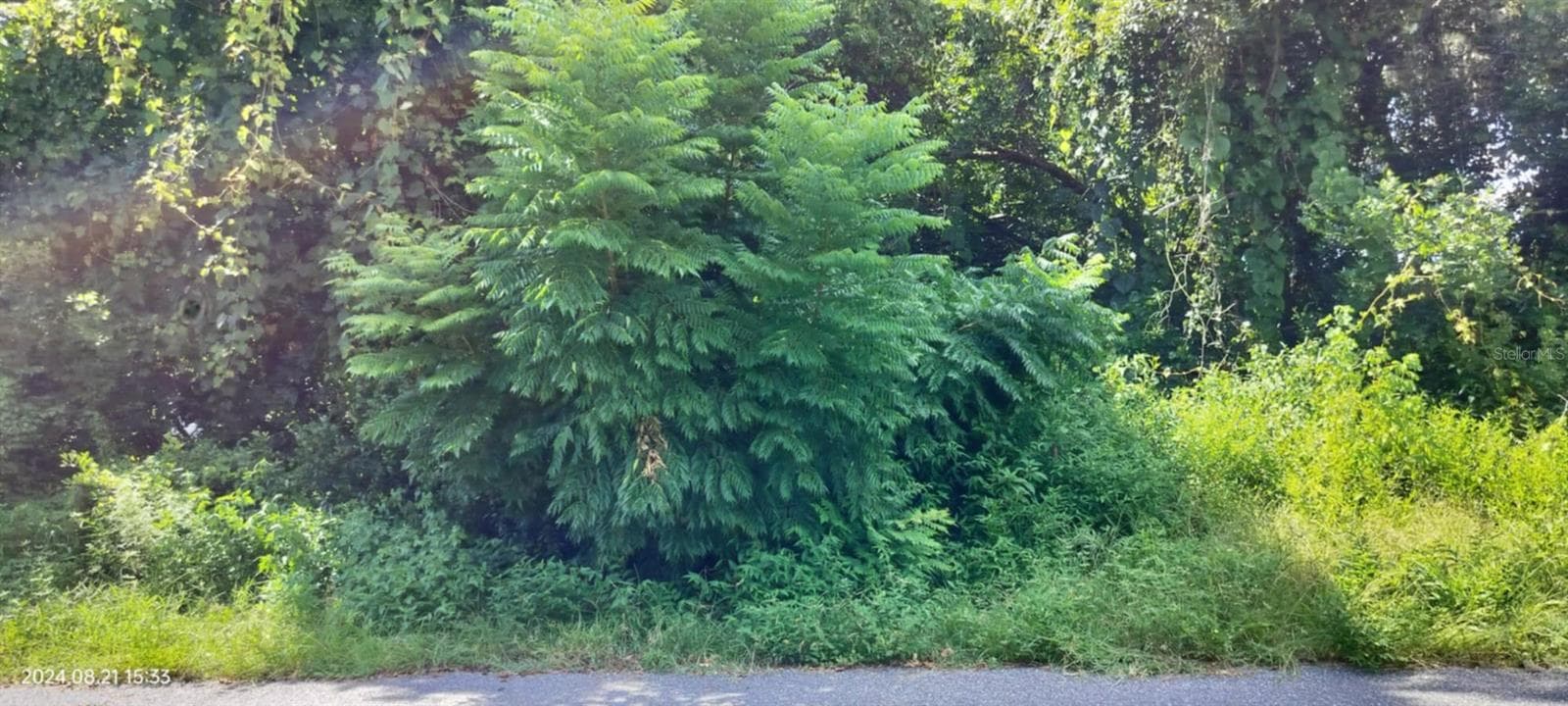 Land at 1980 S TSALA TER, INVERNESS, photo 5 of 26