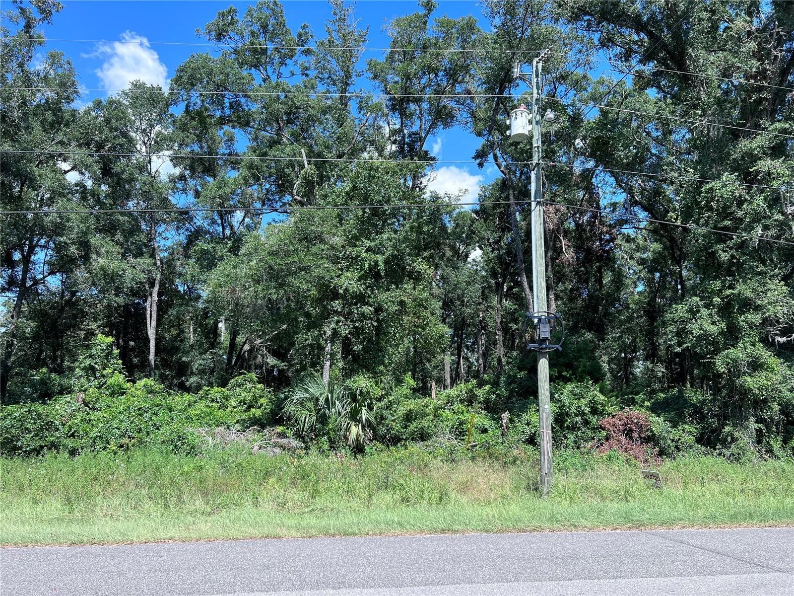 Land at 00 NW 90TH CT, FANNING SPRINGS, photo 2 of 6