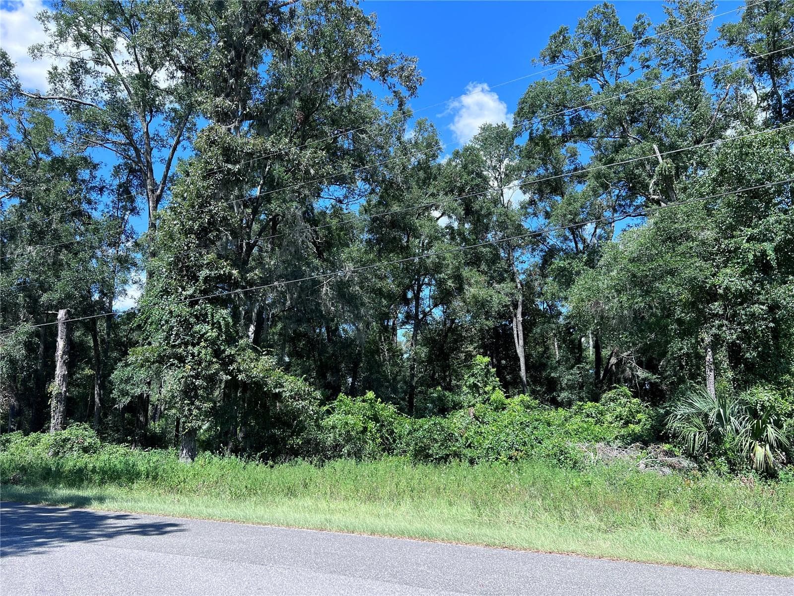 Land at 00 NW 90TH CT, FANNING SPRINGS, photo 3 of 6