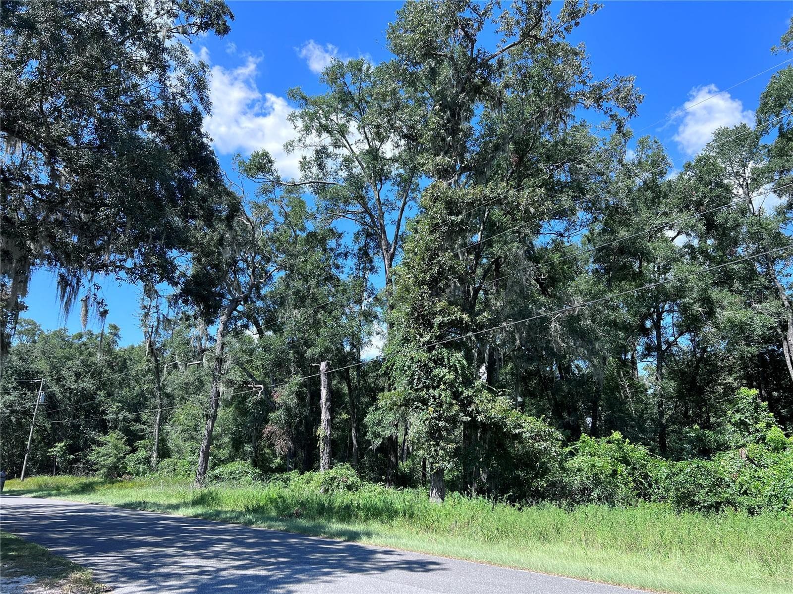 Land at 00 NW 90TH CT, FANNING SPRINGS, photo 4 of 6