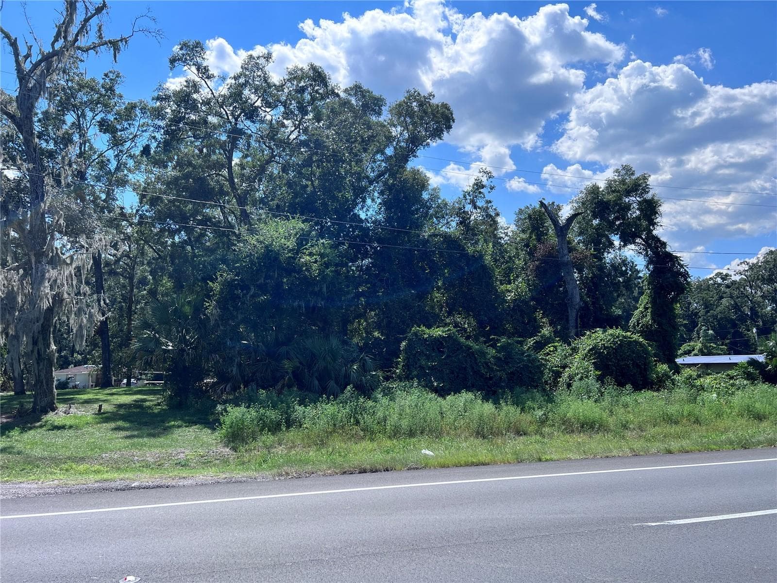 Land at US 19 HWY N, FANNING SPRINGS, photo 2 of 2