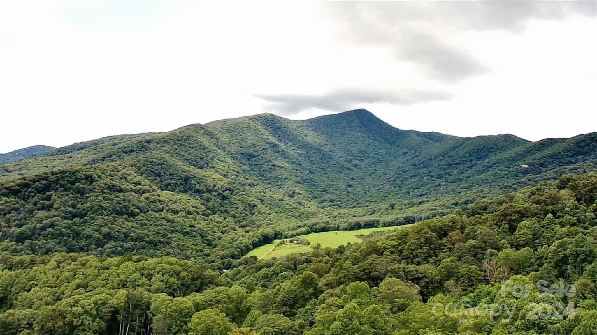 Lot at Waynesville, photo 2 of 34