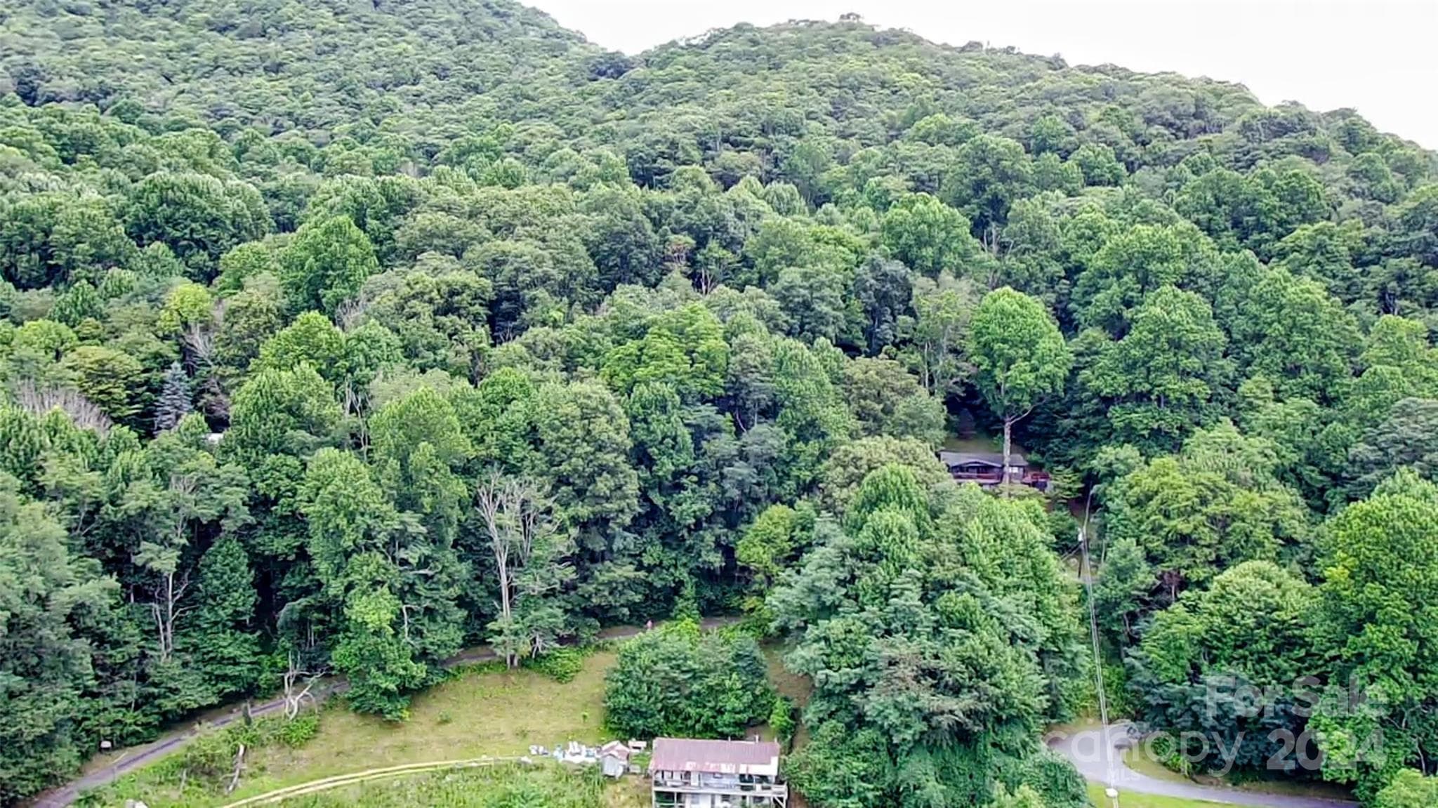 Lot at Waynesville, photo 2 of 28