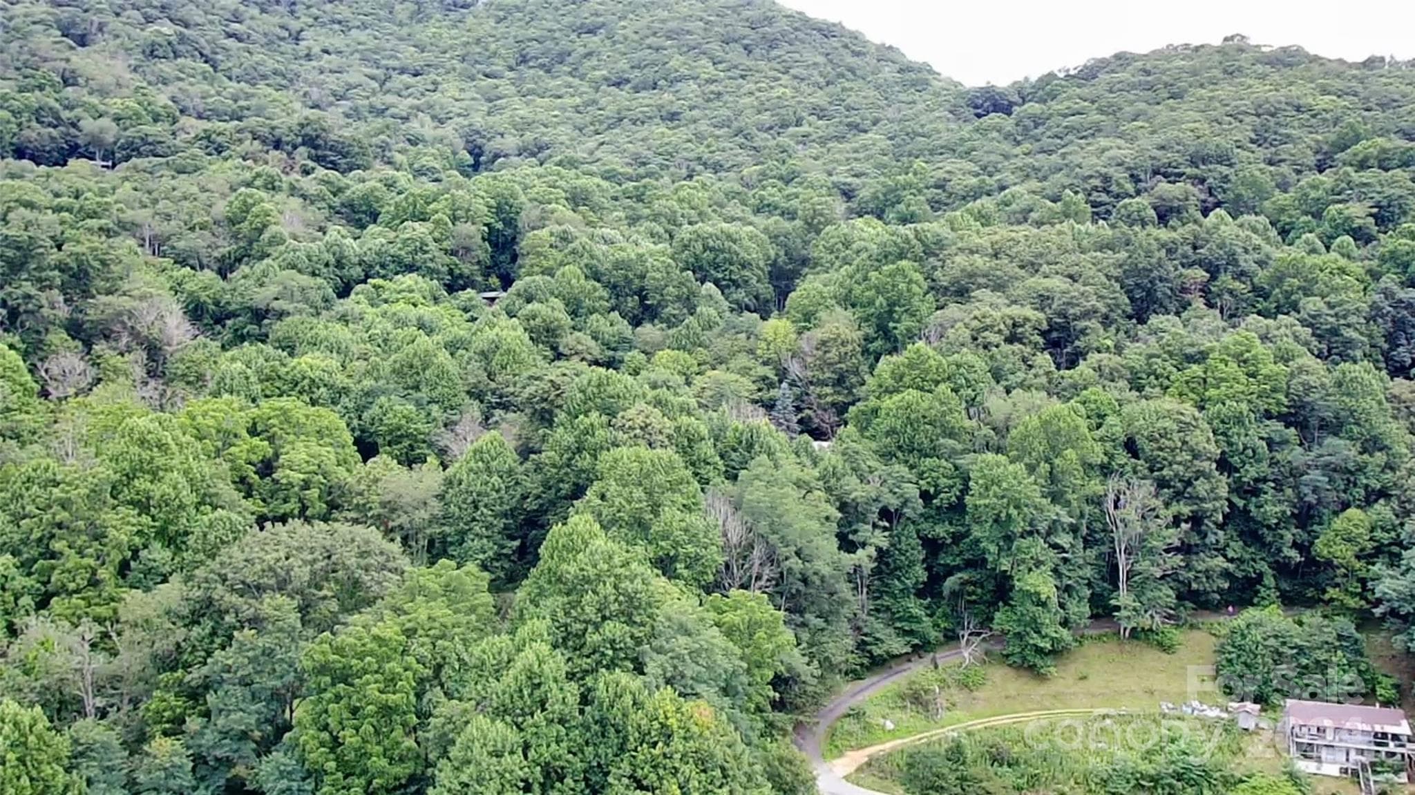 Lot at Waynesville, photo 2 of 35