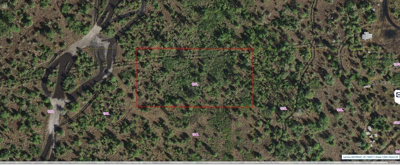 HOLOPAW GROVES RD