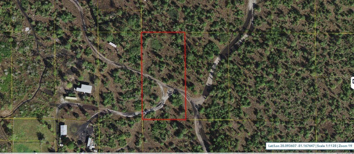 HOLOPAW GROVES RD