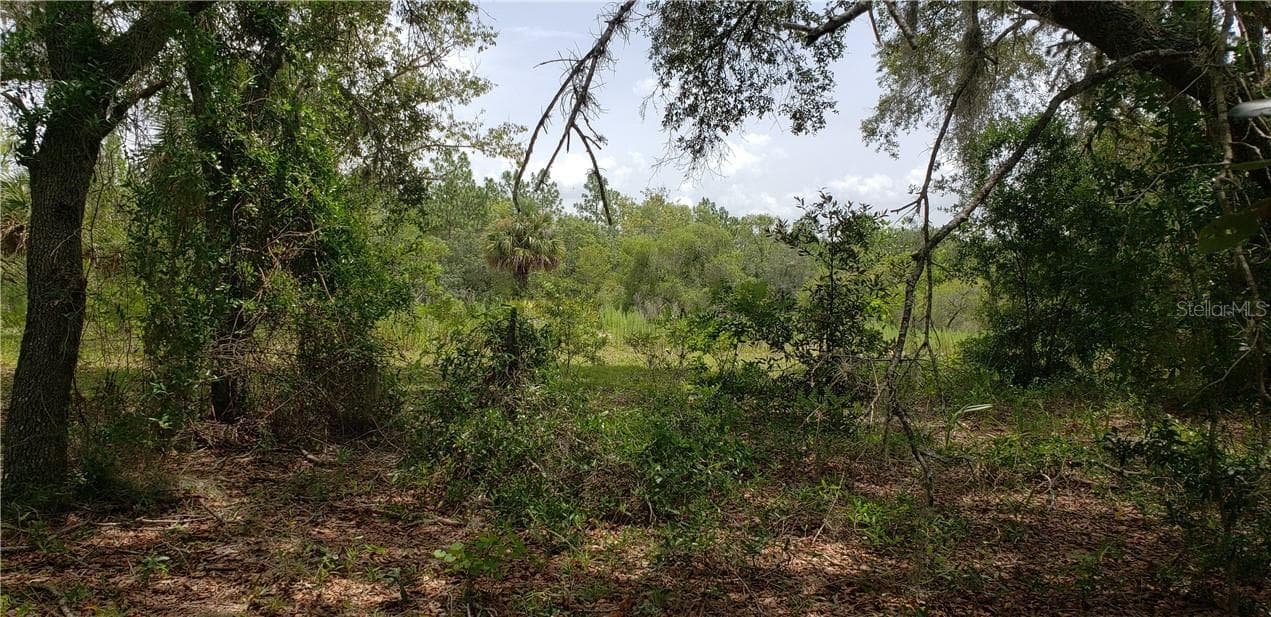 Land at Lot 11 NE ALT HWY 27, WILLISTON, photo 2 of 2