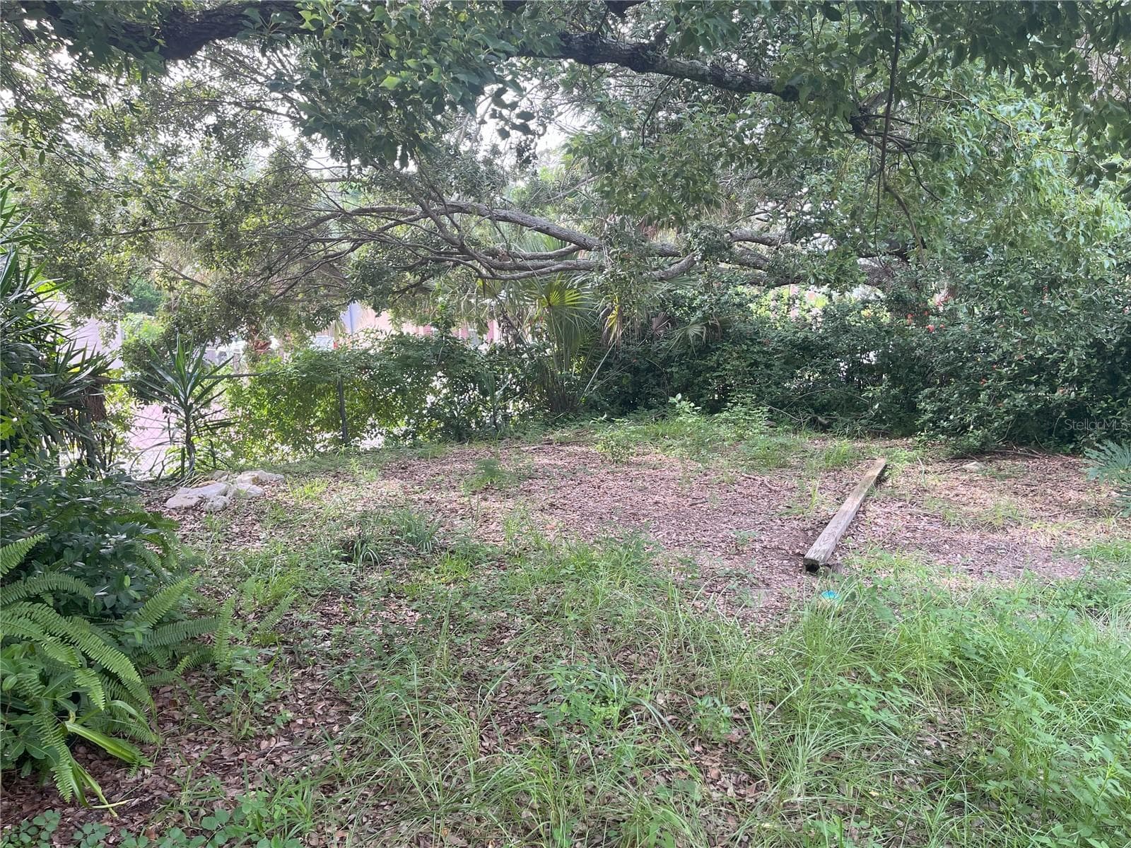 Single Family Residence at 1874 DOUGLAS AVE, CLEARWATER, photo 41 of 42