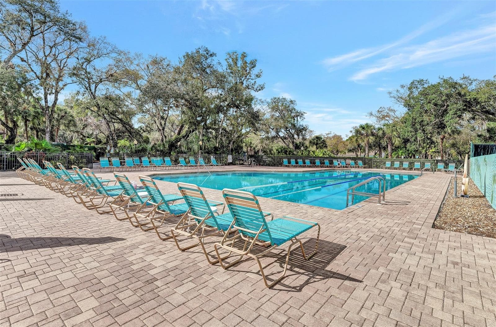 The Meadows Pool - 5103 GREENCROFT RD, SARASOTA