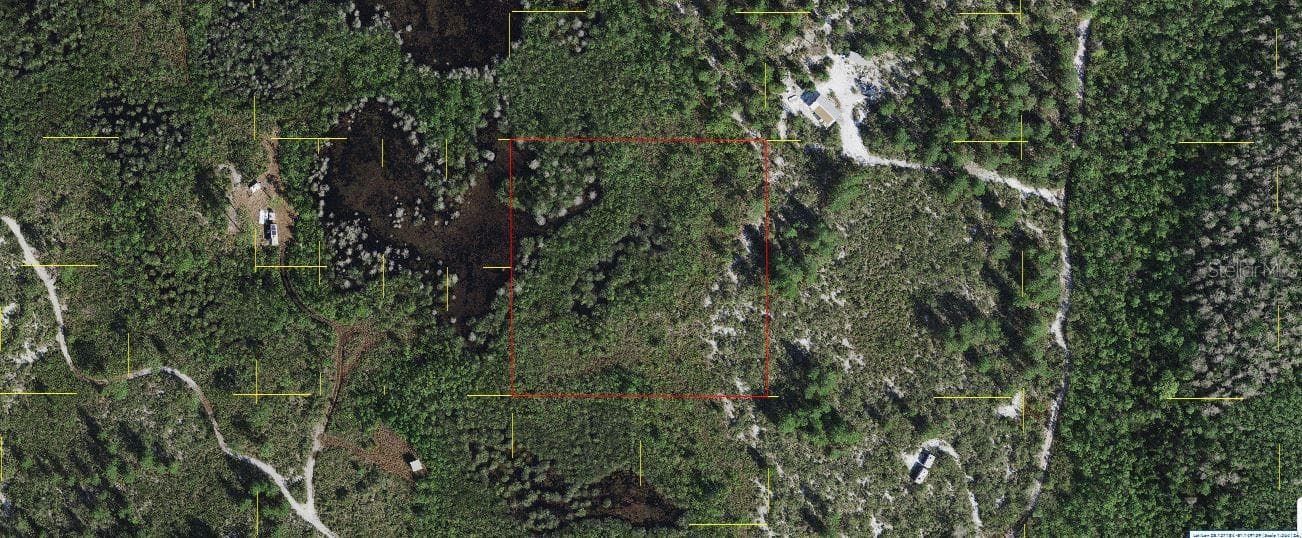 HOLOPAW GROVES RD
