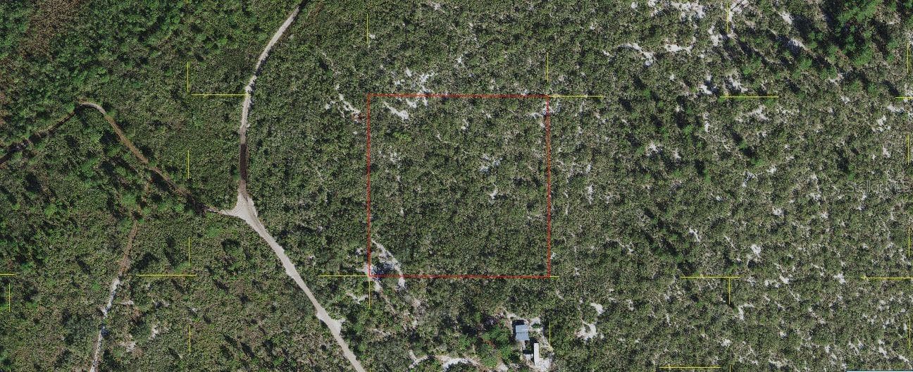 HOLOPAW GROVES RD