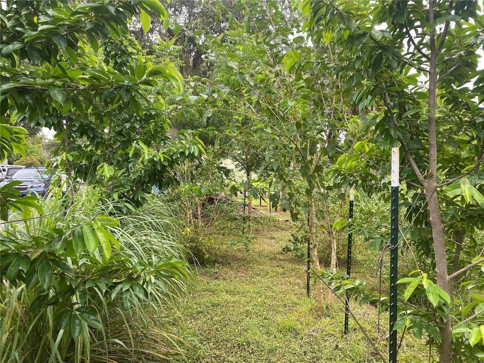 Land at 456 WASHINGTON AVE, OSPREY, photo 7 of 7