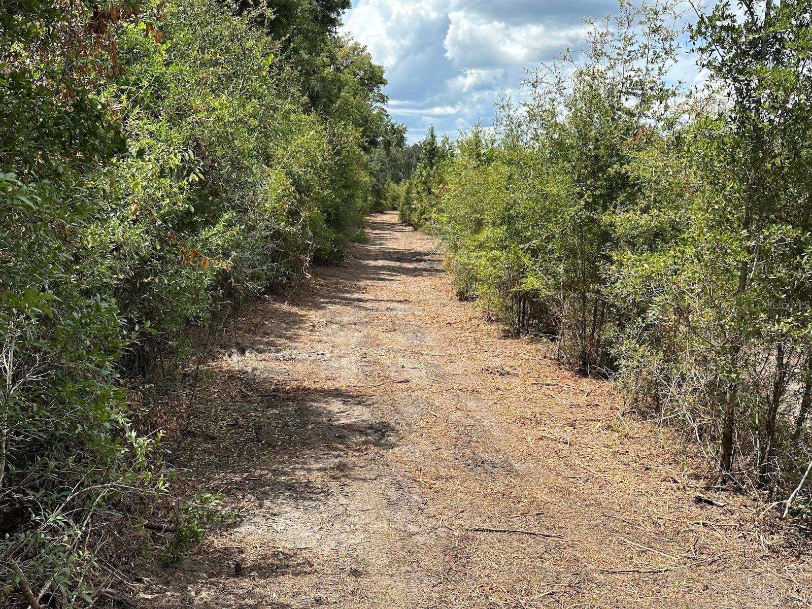 Parcel D Easement Access - Parcel D NW 160TH AVE, MORRISTON