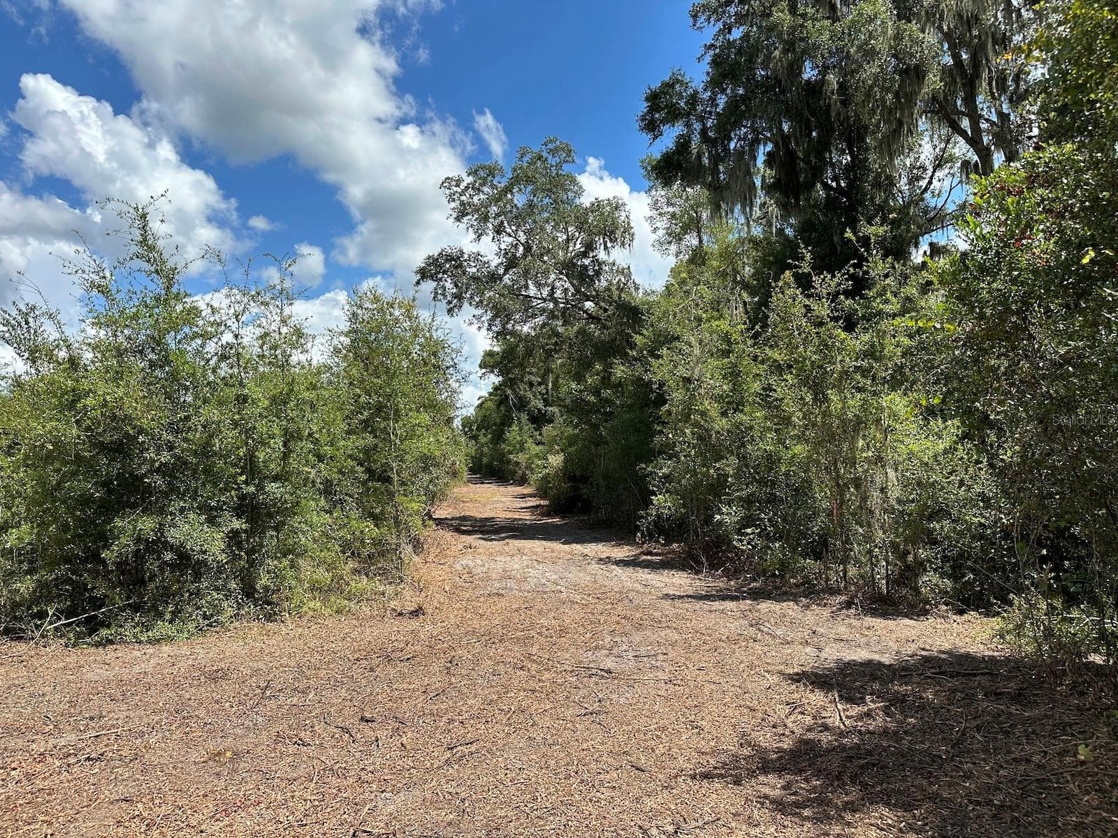 Parcel D Easement Access - Parcel D NW 160TH AVE, MORRISTON