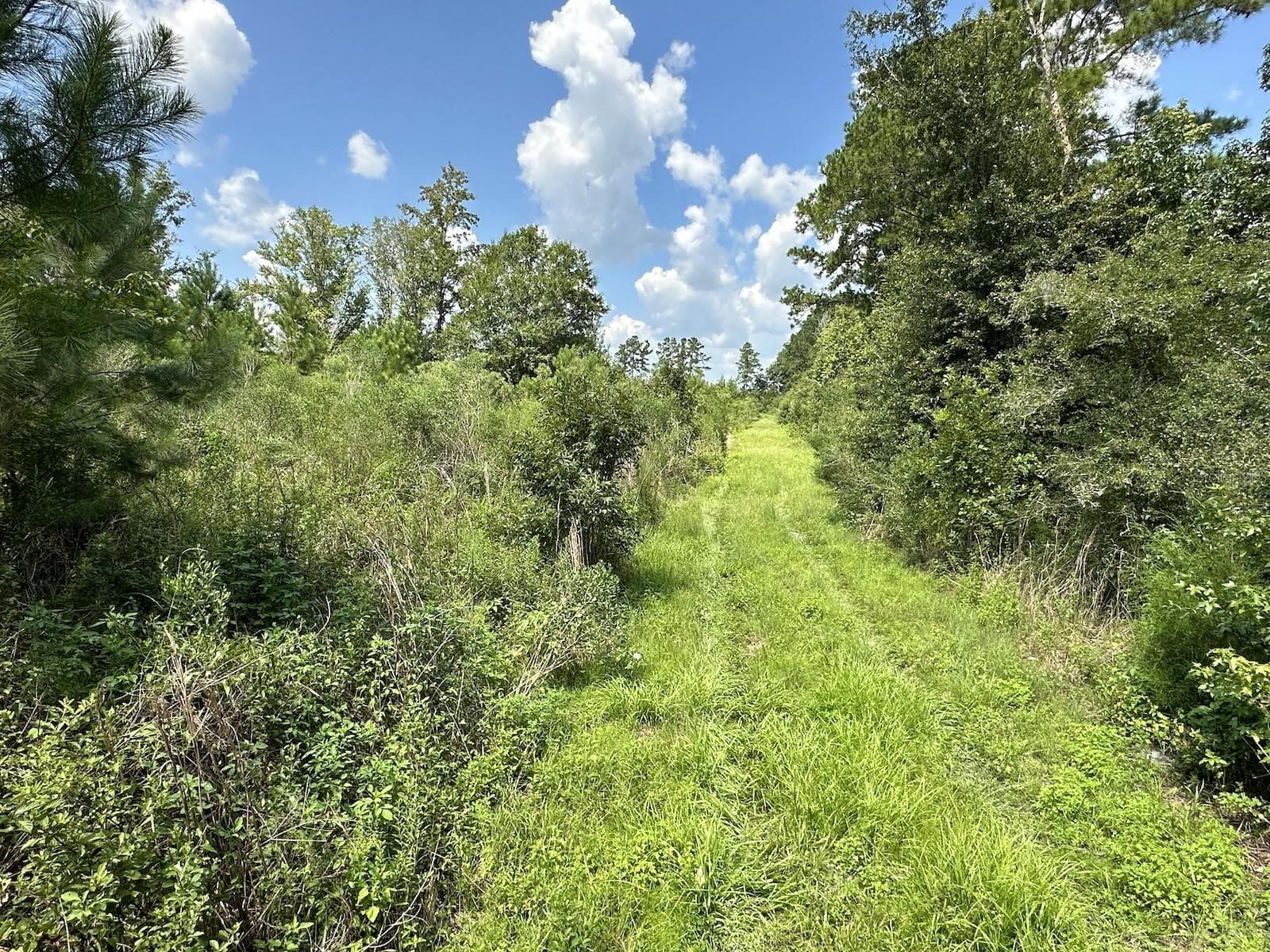 Parcel D Rear Track - Parcel D NW 160TH AVE, MORRISTON